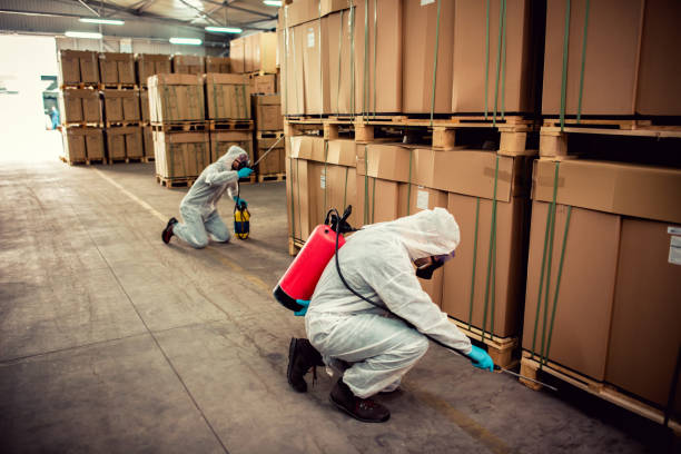 Best Cockroach Control Services  in Wayne, IL