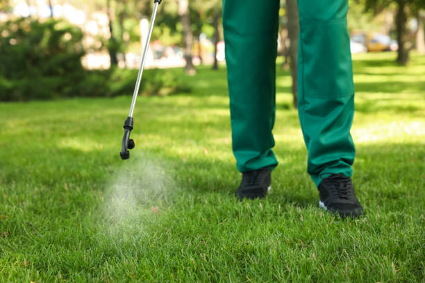 Best Spider Control Near Me  in Wayne, IL