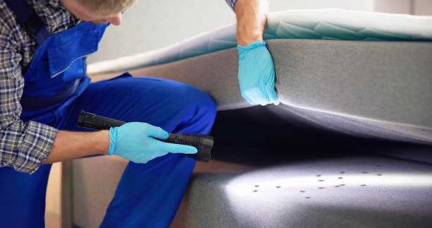 Best Affordable Pest Control Services  in Wayne, IL