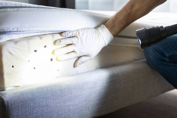 Best Pest Control Near Me in Wayne, IL