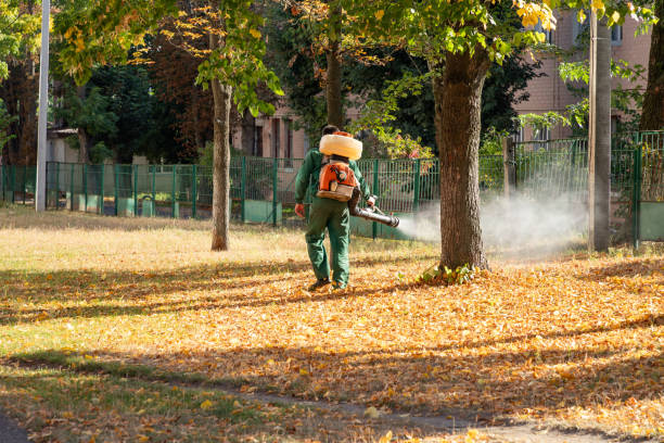 Best Exterminator Services  in Wayne, IL