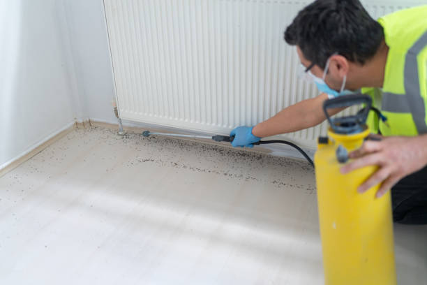 Best Pest Control Treatment  in Wayne, IL