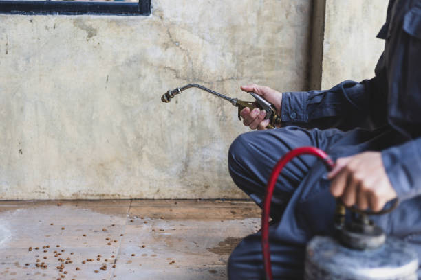 Trusted Wayne, IL Pest Control Experts