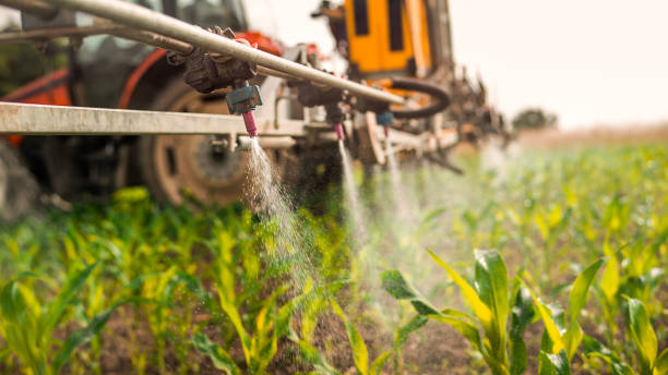 Reliable Wayne, IL Pest Control Solutions