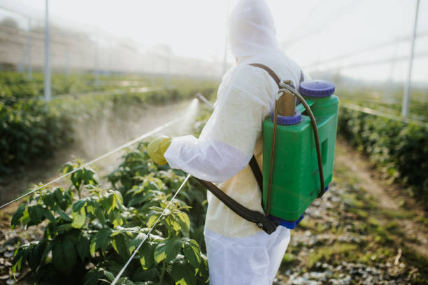 Best Commercial Pest Control Services  in Wayne, IL